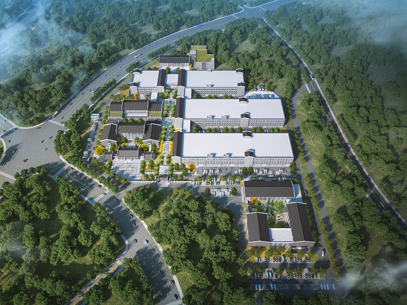 以“廣咨方案”繪就廣西縣域經(jīng)濟活力迸發(fā)生動圖景